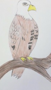eagle